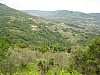 canneddha024