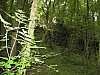 canneddha039