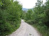 canneddha040