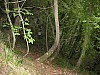 canneddha044