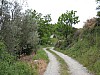 canneddha050