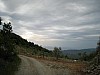 canneddha053