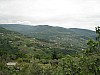 canneddha056