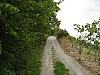 canneddha057