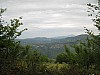 canneddha061