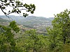 canneddha064