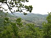 canneddha066