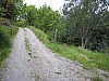canneddha067