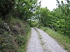 canneddha070