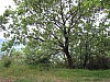 canneddha072