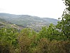canneddha073