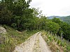 canneddha078