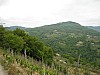 canneddha079