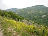 canneddha082