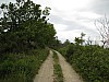 canneddha083