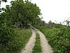 canneddha084