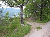 canneddha085