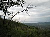 canneddha089