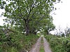 canneddha091