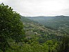 canneddha095