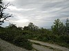 canneddha097