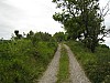 canneddha098
