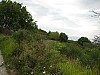 canneddha099