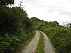 canneddha104