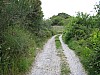 canneddha106