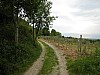 canneddha118