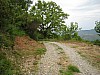 canneddha126