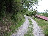 canneddha129