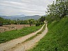 canneddha143