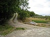 canneddha145
