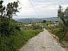 canneddha161