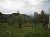 canneddha164
