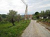 canneddha167
