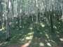foto019