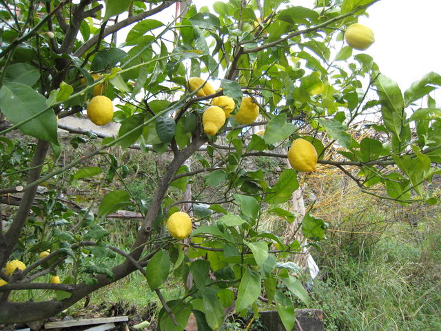 foto002
