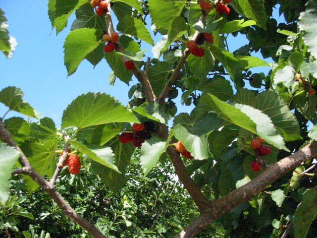 foto003