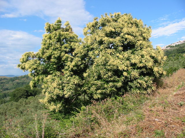 foto004