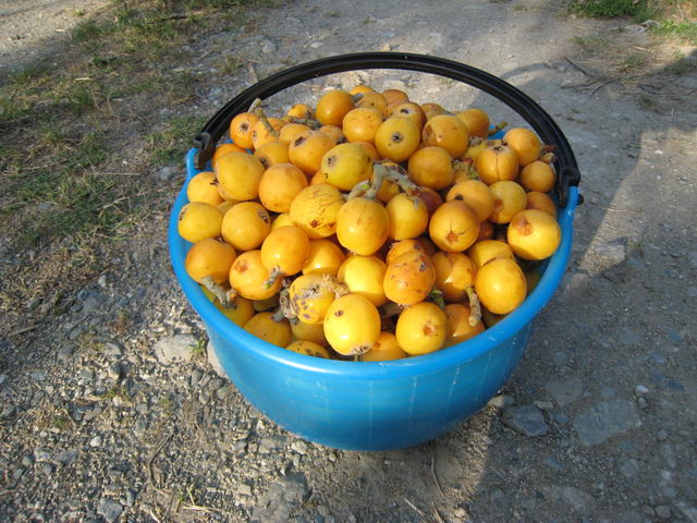 foto021
