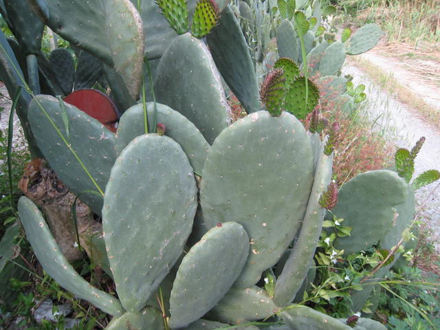 foto024