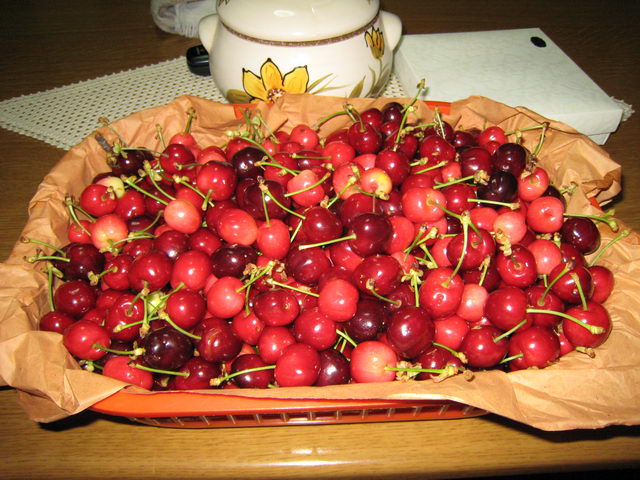foto033