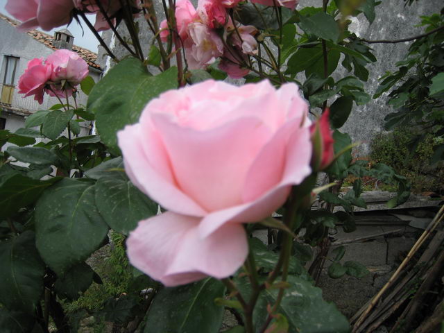 foto037