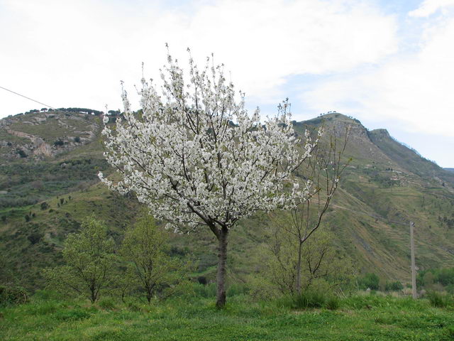 foto043