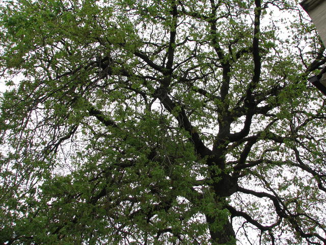 foto044