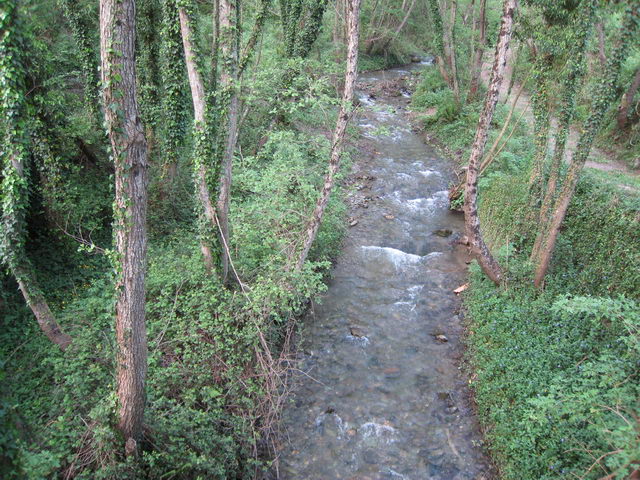 foto002