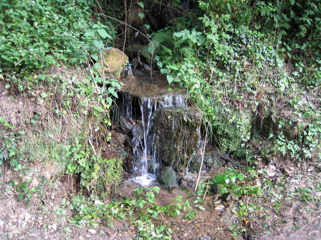 foto003