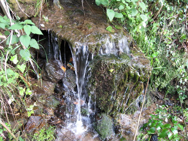 foto004